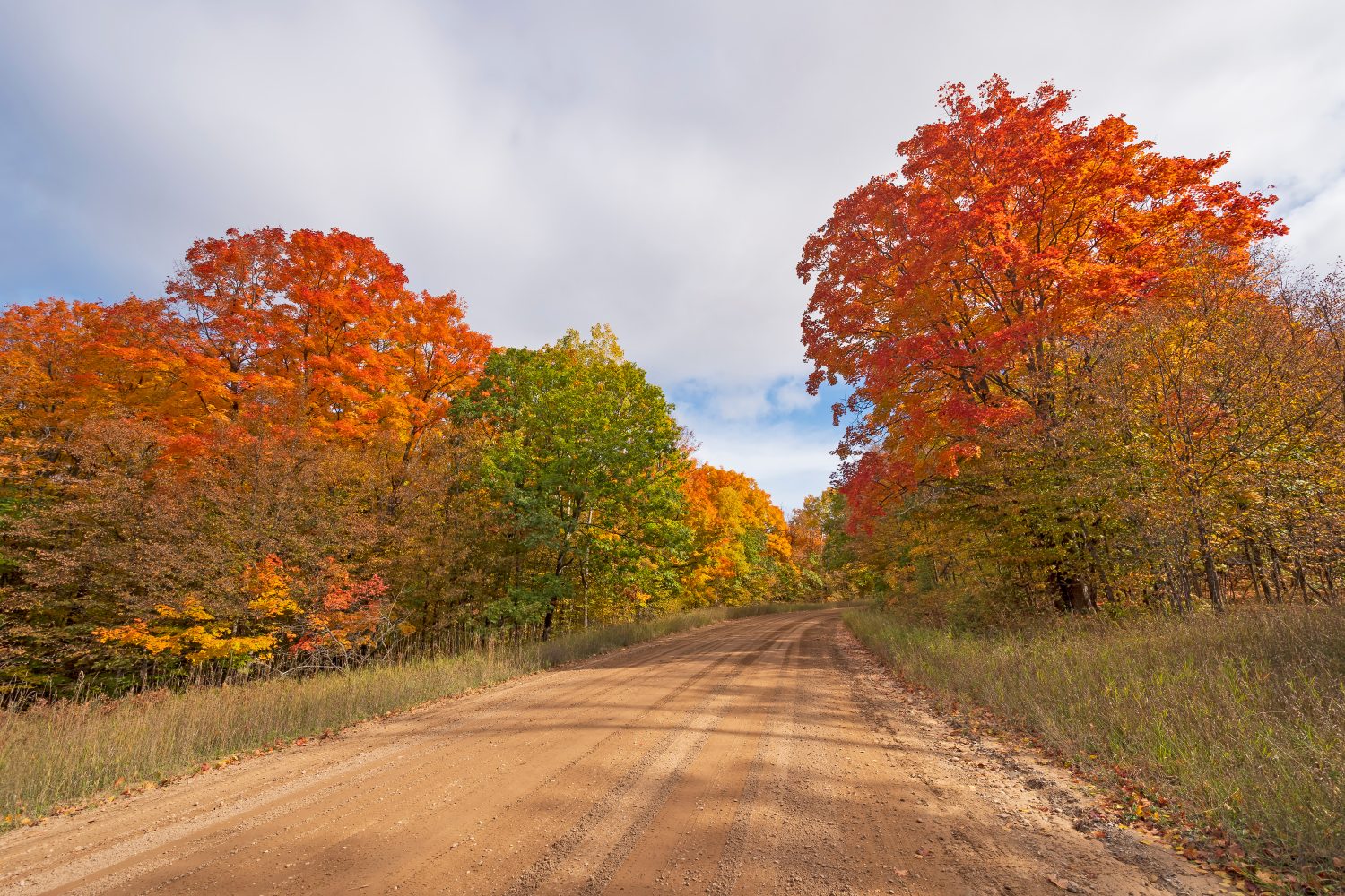 Strada rurale nella foresta autunnale vicino a Vanderbilt, Michigan