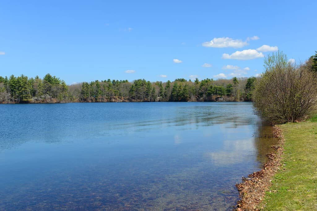 Lago Chaubunagungamaug aka Webster Lake in primavera nella città di Webster, Massachusetts MA, Stati Uniti.  Il nome originale Lake Chargoggagoggmanchauggagoggchaubunagungamaugg è il nome più lungo negli Stati Uniti