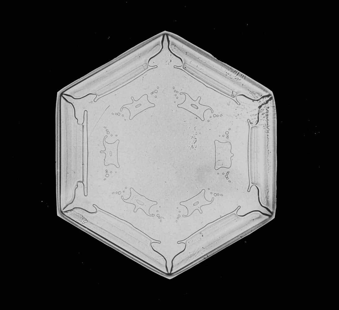 Cristallo di neve della collezione Bentley Snow Crystal