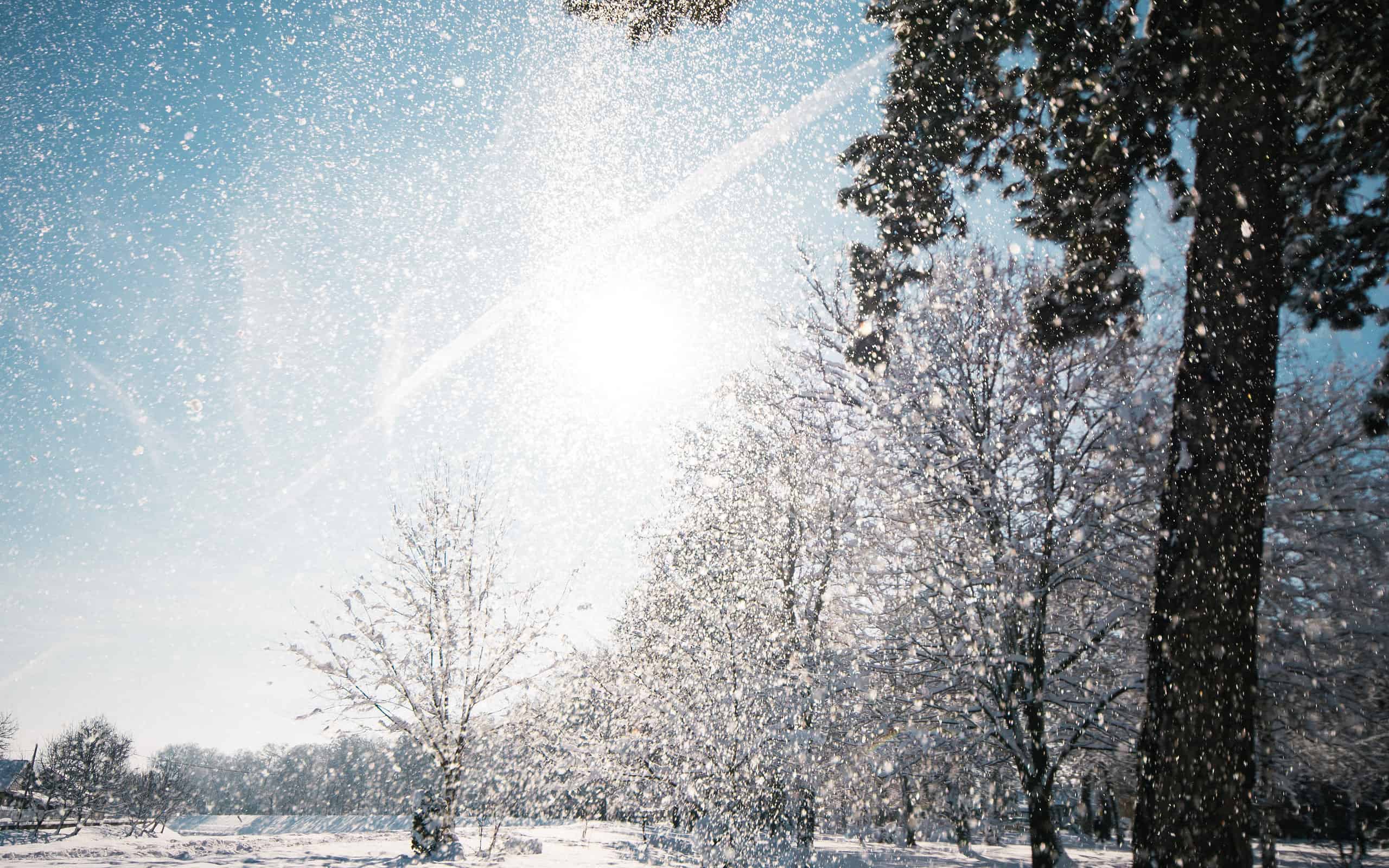 Ogni fiocco di neve cade in modo unico dal cielo alla terra.