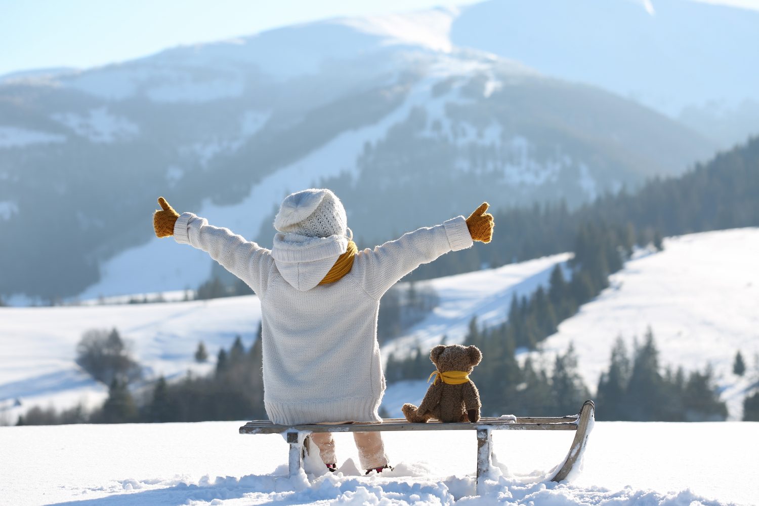 Il bambino con l'orsacchiotto giocattolo si siede su una slitta e guarda le montagne innevate invernali. Vacanze invernali in famiglia.  Celebrazione del Natale e vacanze invernali.  Divertimento invernale e attività all'aria aperta con i bambini