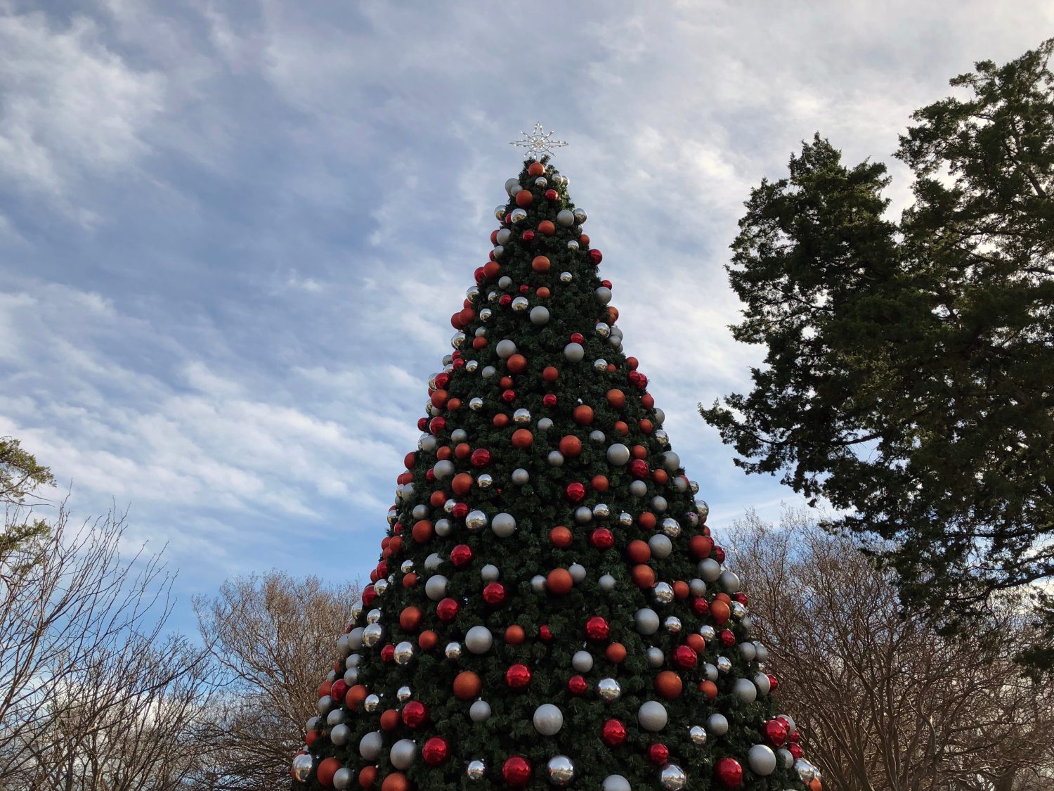 Albero di Natale a Dallas Texas