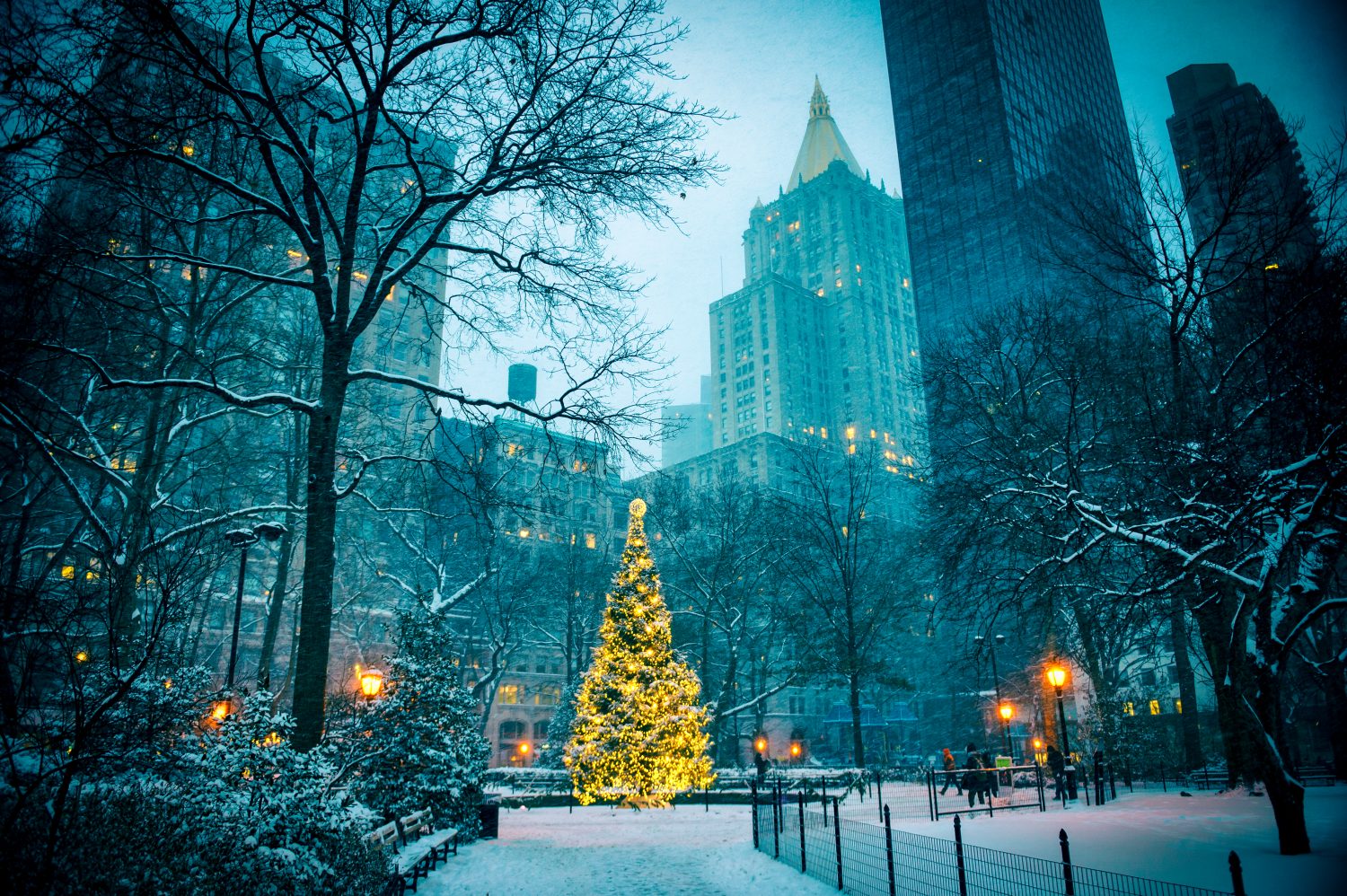 Vista panoramica serale invernale delle luci incandescenti di un albero di Natale circondato dai grattacieli di Midtown Manhattan a Madison Square Park, New York City