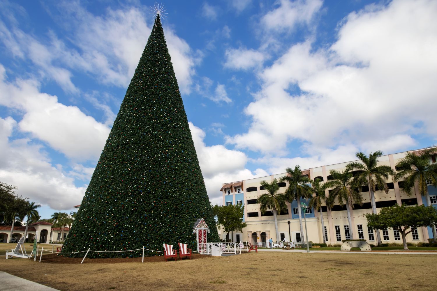 Il magnifico albero di Natale di 100 piedi a Delray Beach, Florida, Stati Uniti