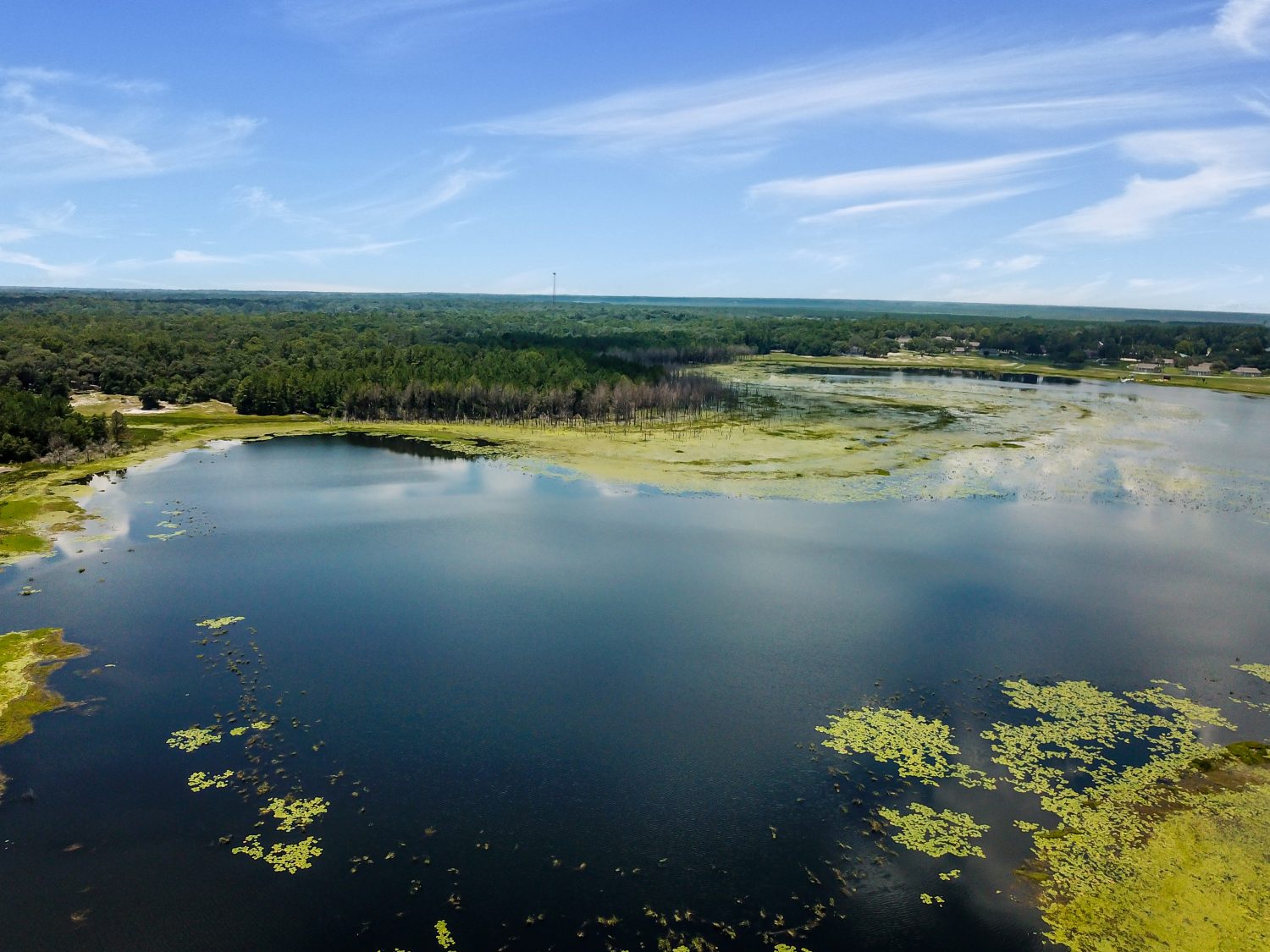 Aerea.  Lago a Keystone Heights Florida Volare un drone sul lago.  Keystone Heights, Florida.  