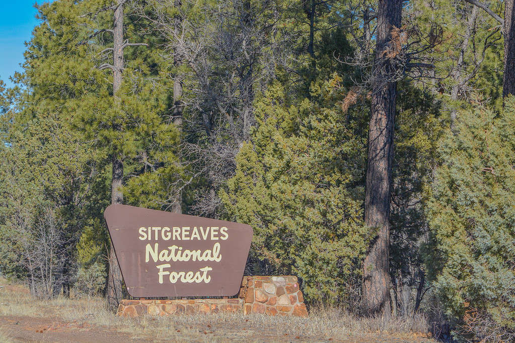 Sitgreaves National Forest Sign nelle montagne dell'Arizona USA
