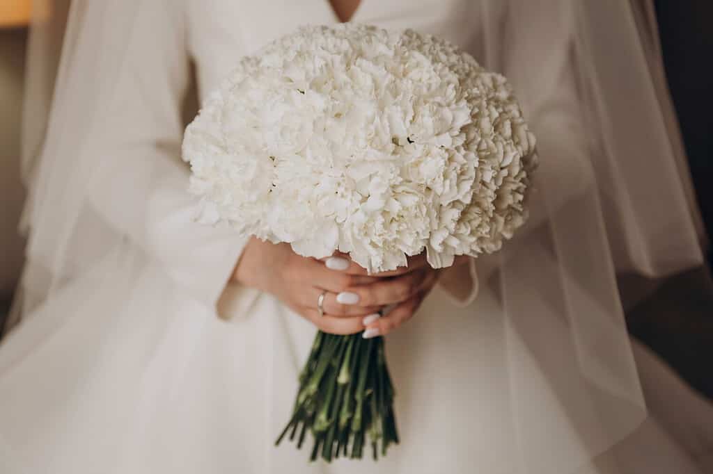 La sposa in abito da sposa bianco tiene in mano un mazzo di garofani bianchi.  Matrimonio, fidanzamento.  Sposa e sposo