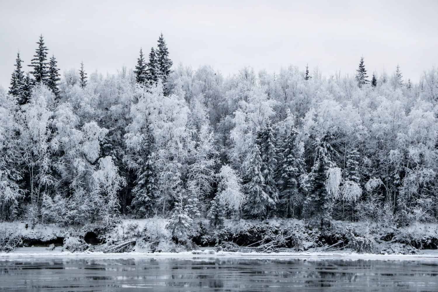 McGrath Alaska Inverno