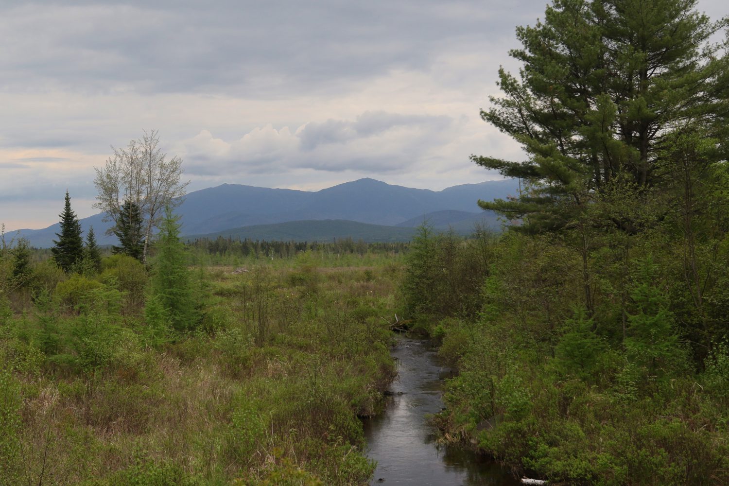 Rifugio nazionale della fauna selvatica di Pondicherry, New Hampshire