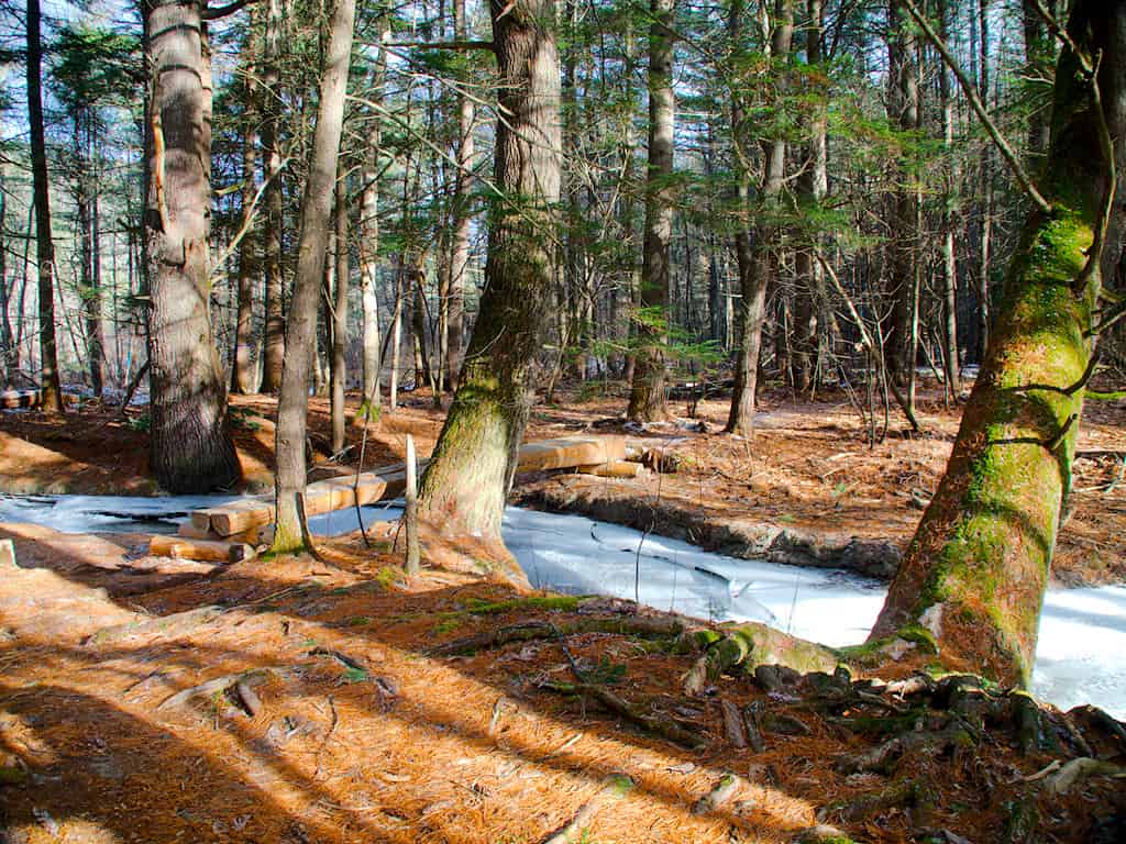 Riserva naturale di Mink Brook nel New Hampshire