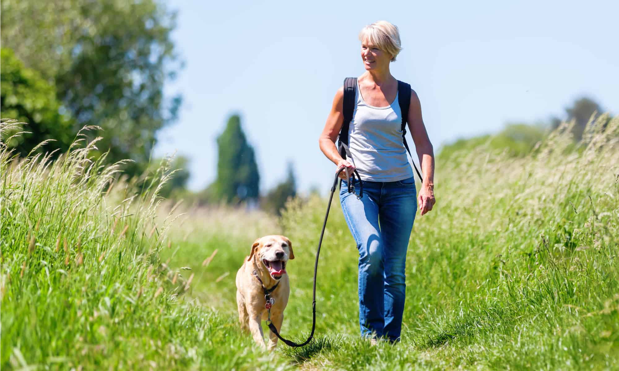 Sacchetti per la raccolta dei bisogni del tuo cane