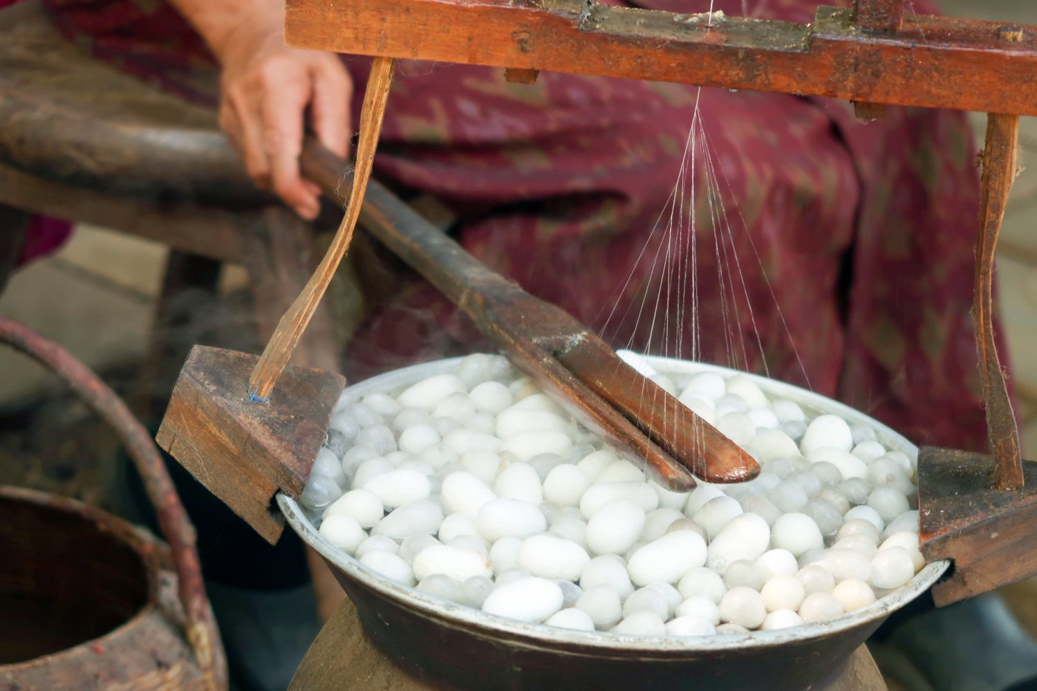 tradizionale produzione della seta.  Il processo di produzione manuale della seta dai bozzoli dei bachi da seta.