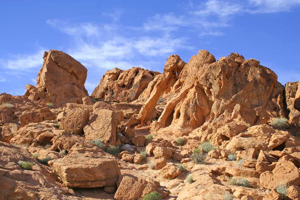 Elephant Rock, Nevada, nella Valle del Fuoco State Park, Nevada