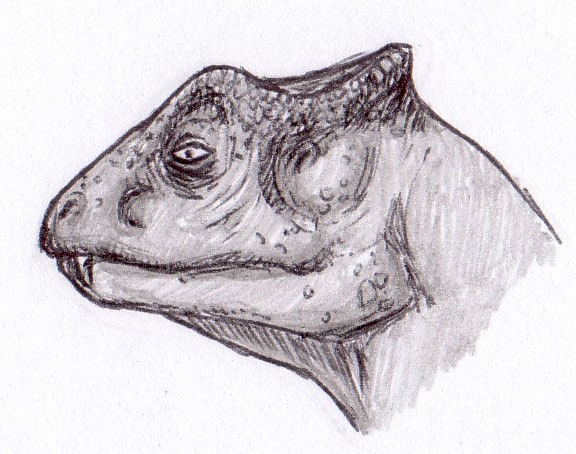 Dinosauro Yinlong