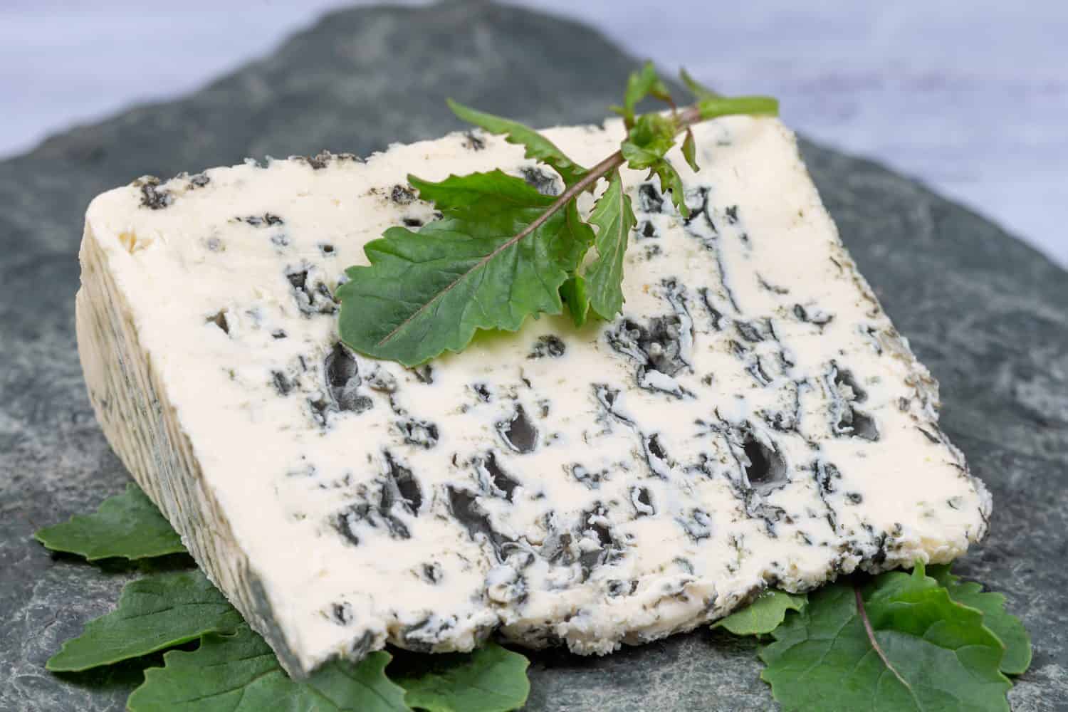 Formaggio a muffa blu Saint Agur