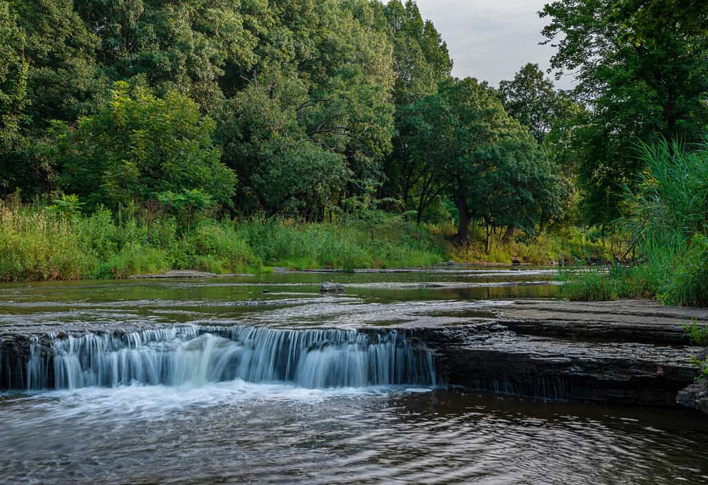 Un piccolo gradino naturale attraversa l'intera larghezza del Prairie Creek appena prima che sfoci nel fiume Kankakee, DesPlaines River State Wildlife Area, Will County, Illinois