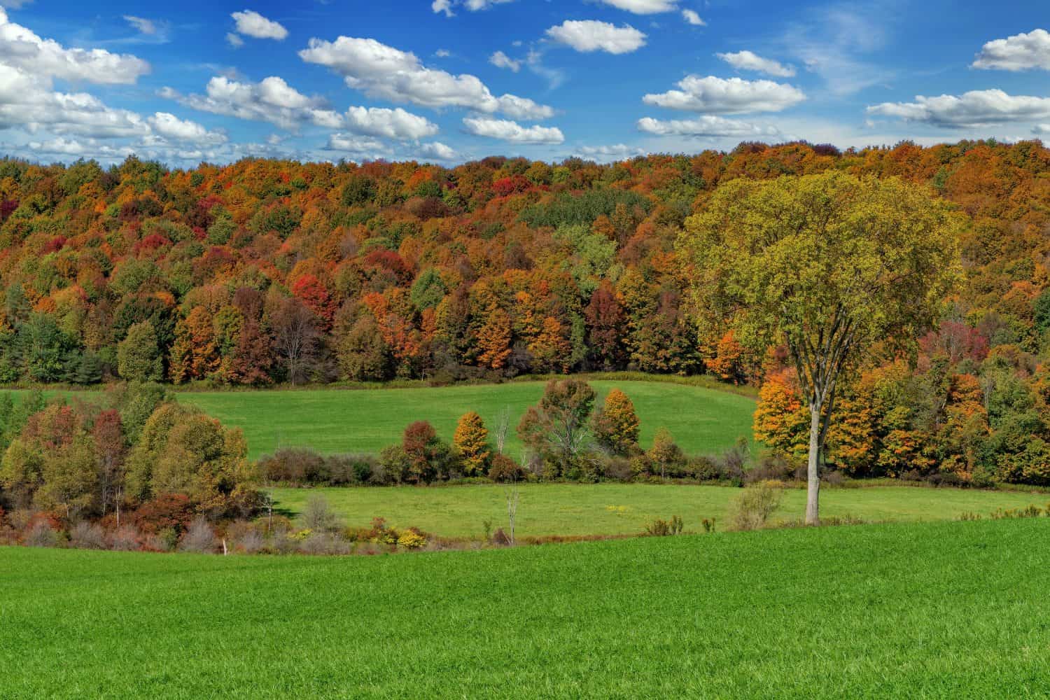 Pomeriggio autunnale nei Finger Lakes del centro di New York, vicino alle città di Cortland e Virgil