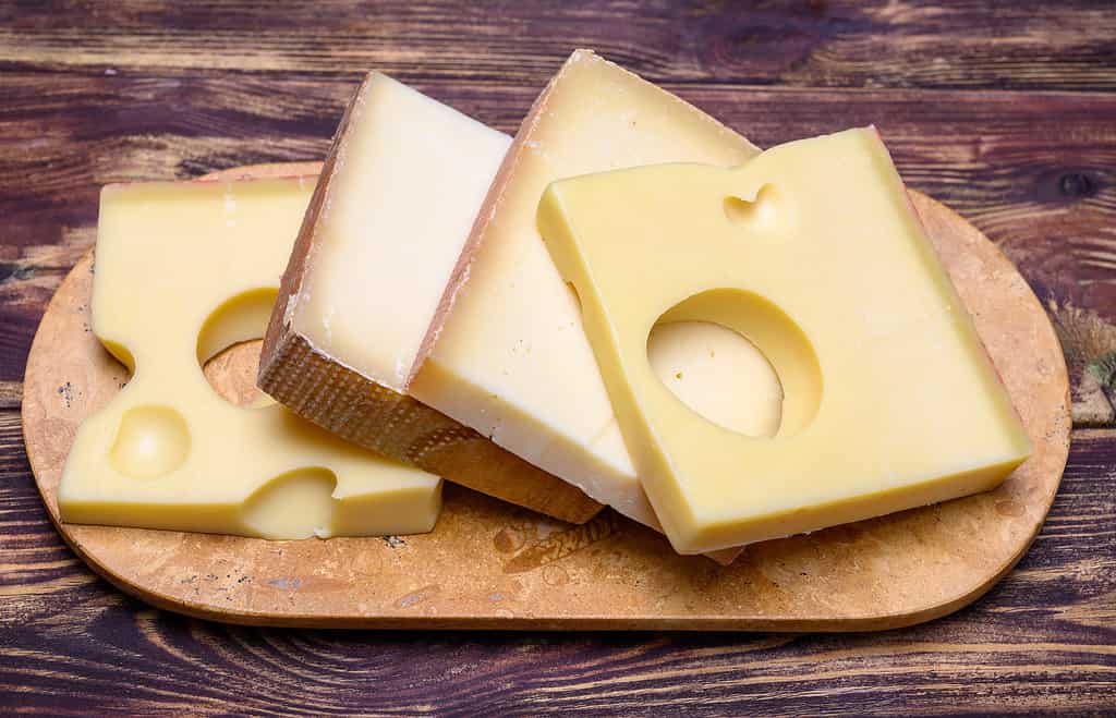 Collezione di formaggi, emmentaler svizzero, groviera, formaggi appenzeller