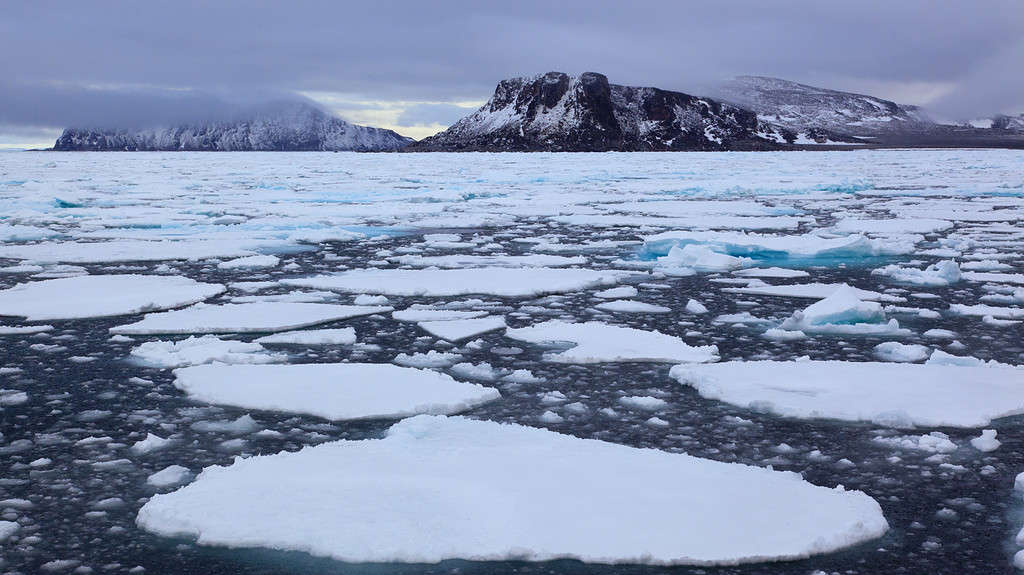 Il ghiaccio marino è costituito da acqua salata mentre le calotte glaciali sono costituite da acqua dolce.