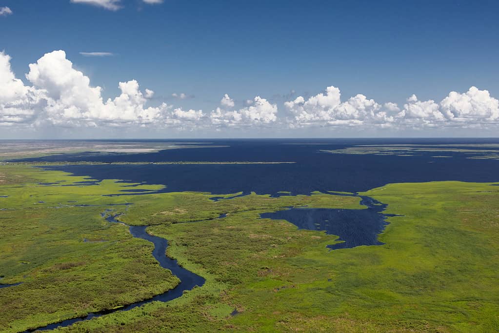 Antenna del lago Okeechobee Florida