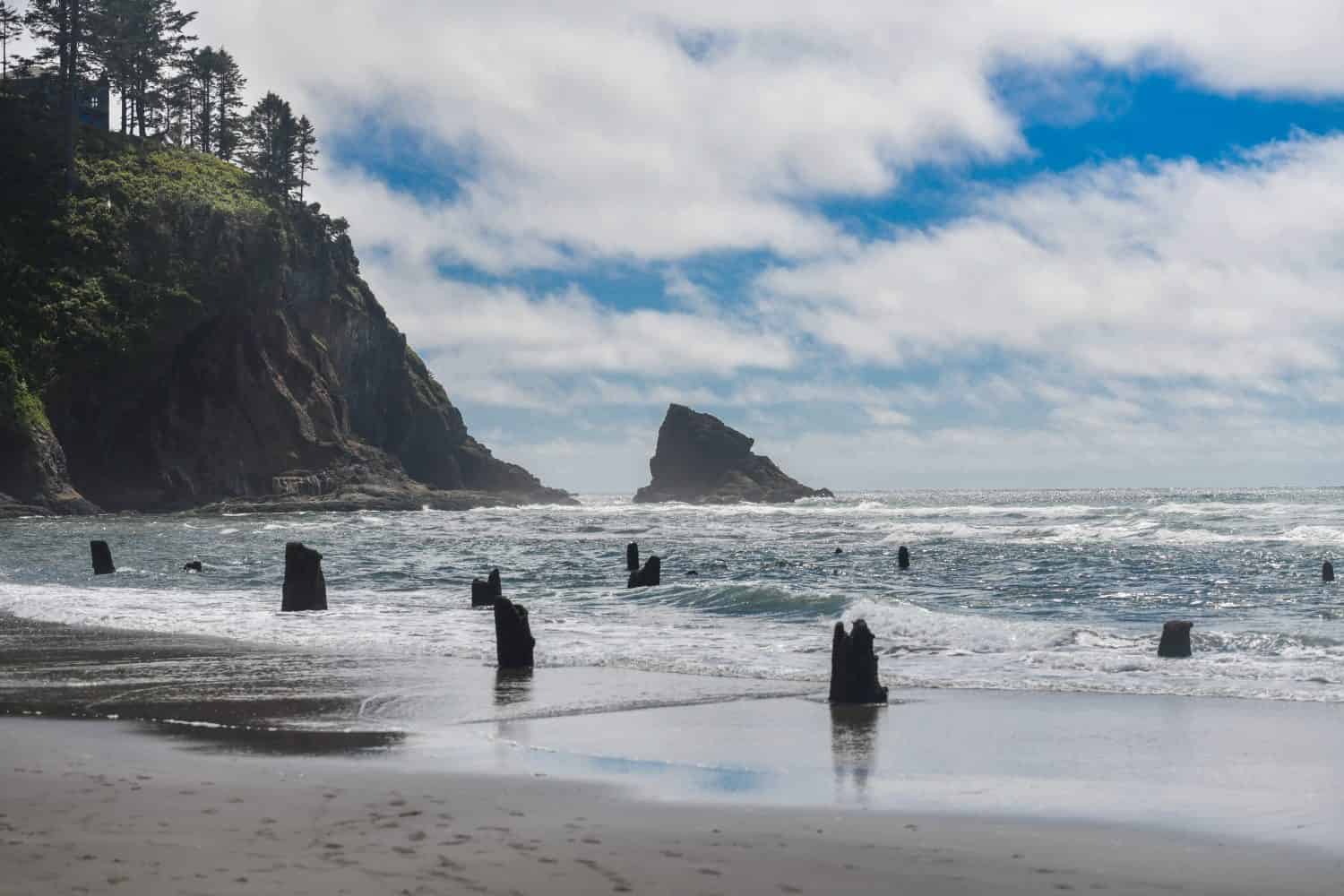 Oceano nella baia costiera di Neskowin Ghost Forest nell'Oregon, Stati Uniti