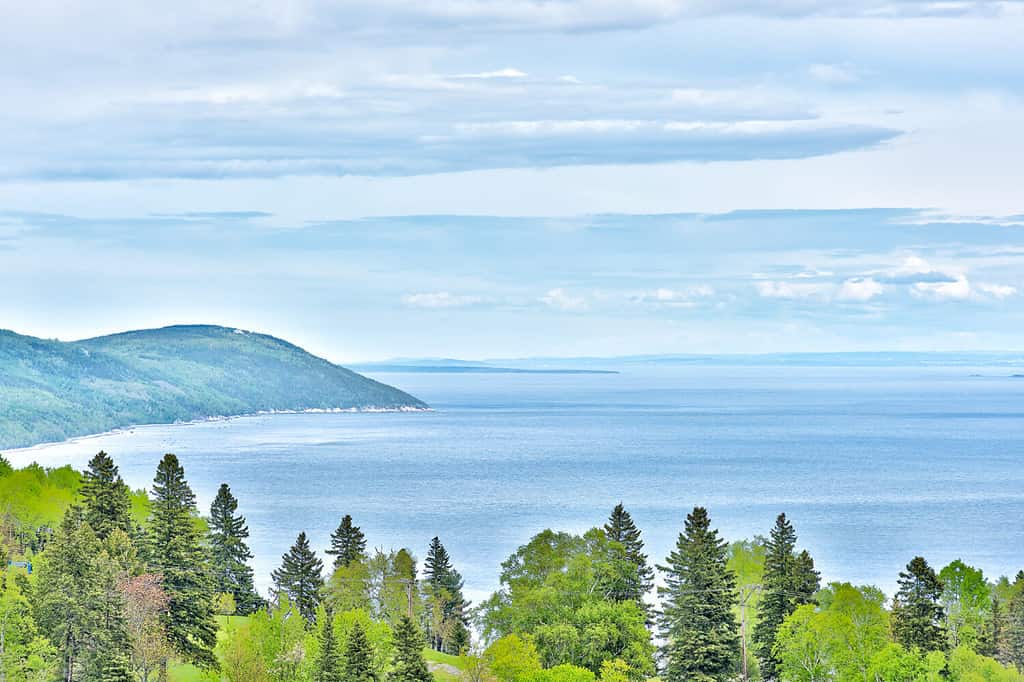 Paesaggio vista aerea della costa della scogliera di montagna e del fiume San Lorenzo in estate a La Malbaie, Quebec, Canada nella regione di Charlevoix