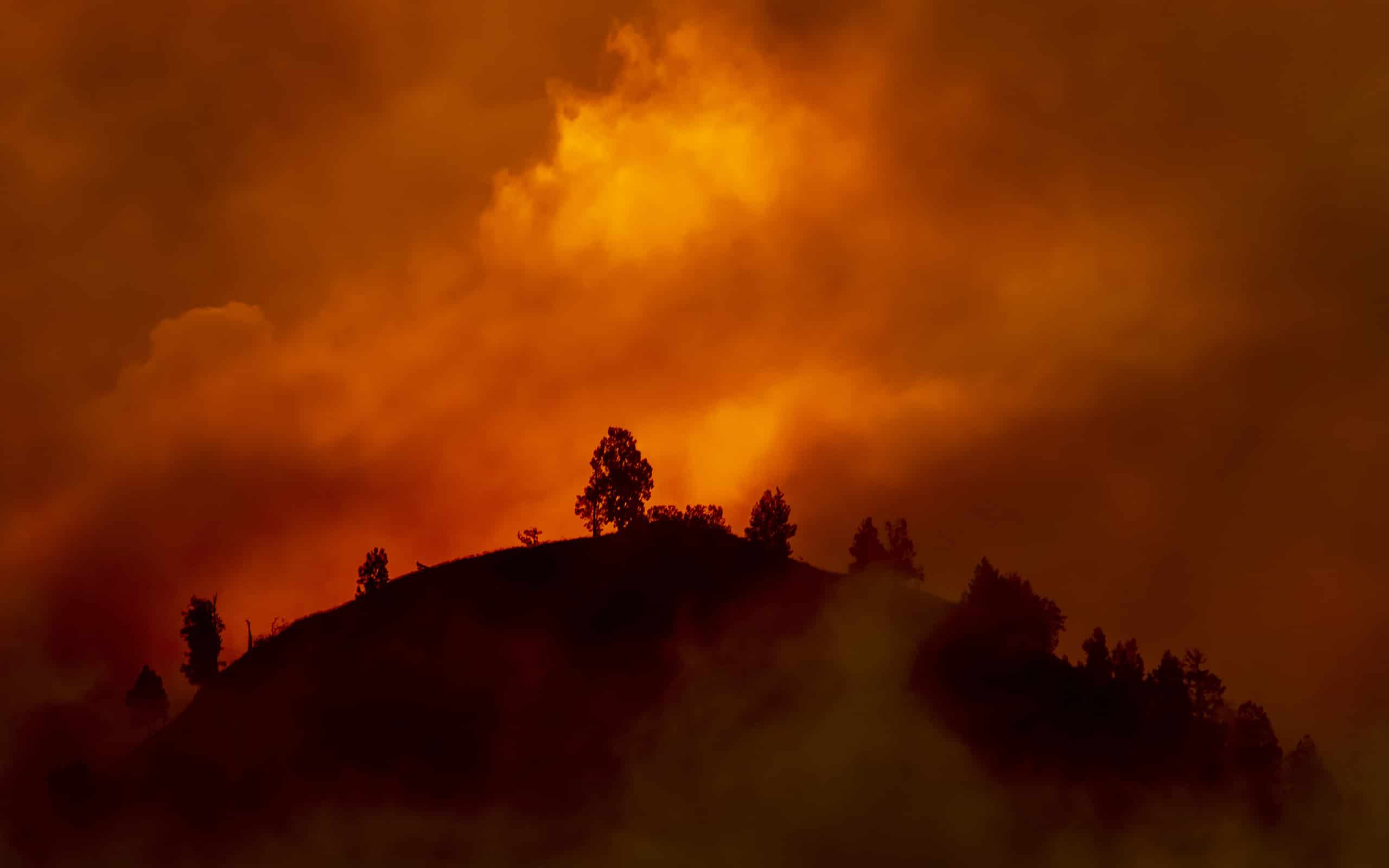 Collina con alberi sul punto di bruciare in un incendio rosso e arancione