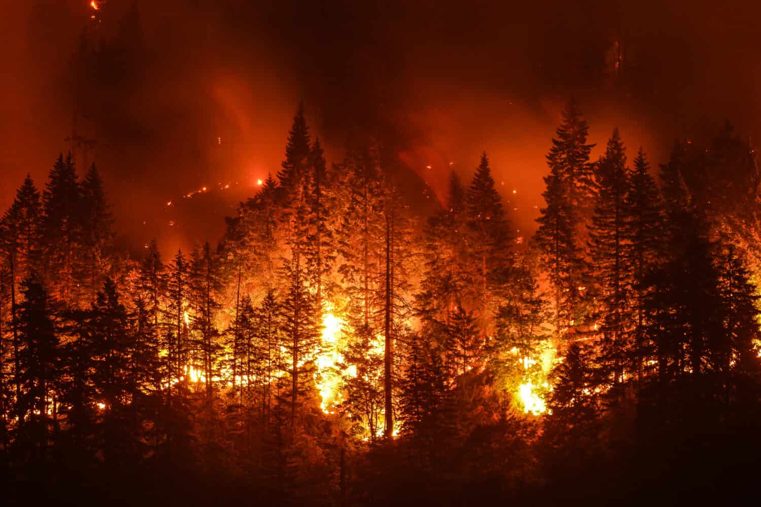 Incendio di Eagle Creek nella gola del fiume Columbia, Or