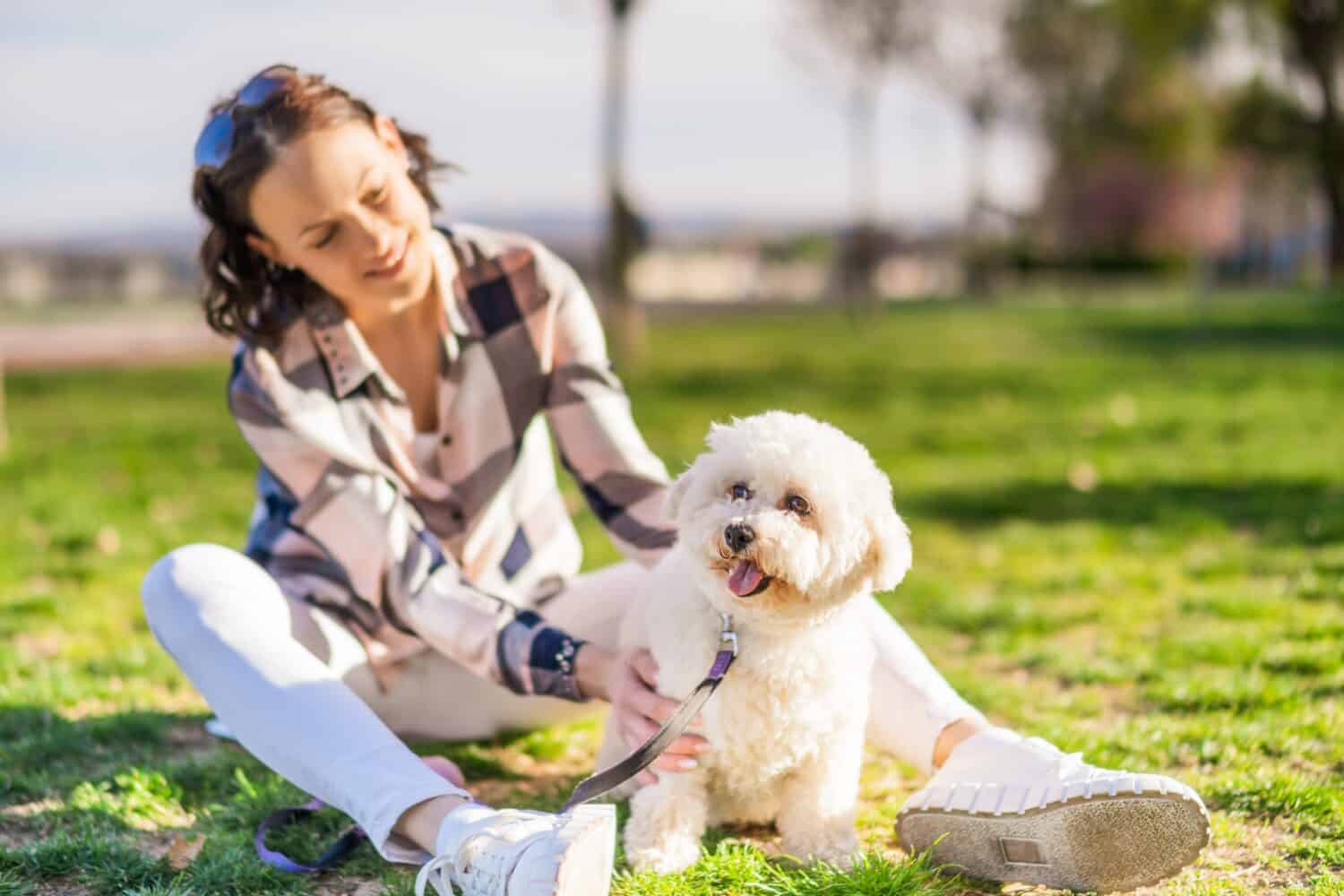 Una donna felice sta giocando con il suo cane bianco bichon frise in una giornata di sole nel parco.