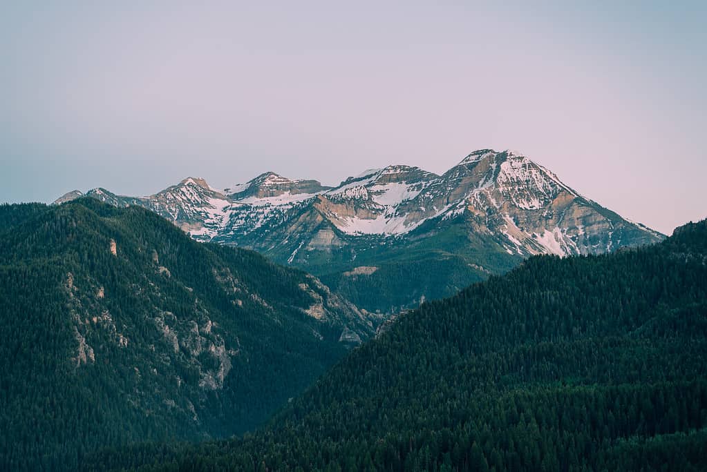 Montagne vicino all'Alpine Loop Scenic Byway nell'American Fork Canyon, nella foresta nazionale di Uinta-Wasatch-Cache, Utah