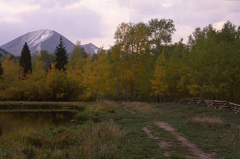 Foresta nazionale di Manti-La Sal, Utah