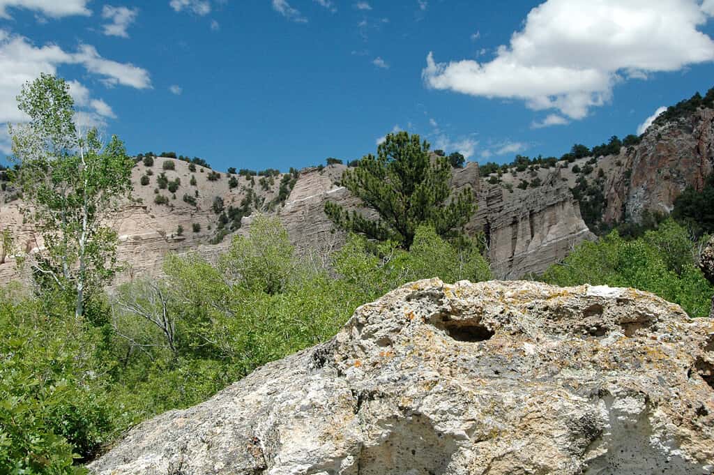 Joe Lott Creek Canyon nei Monti Tushar, Utah.