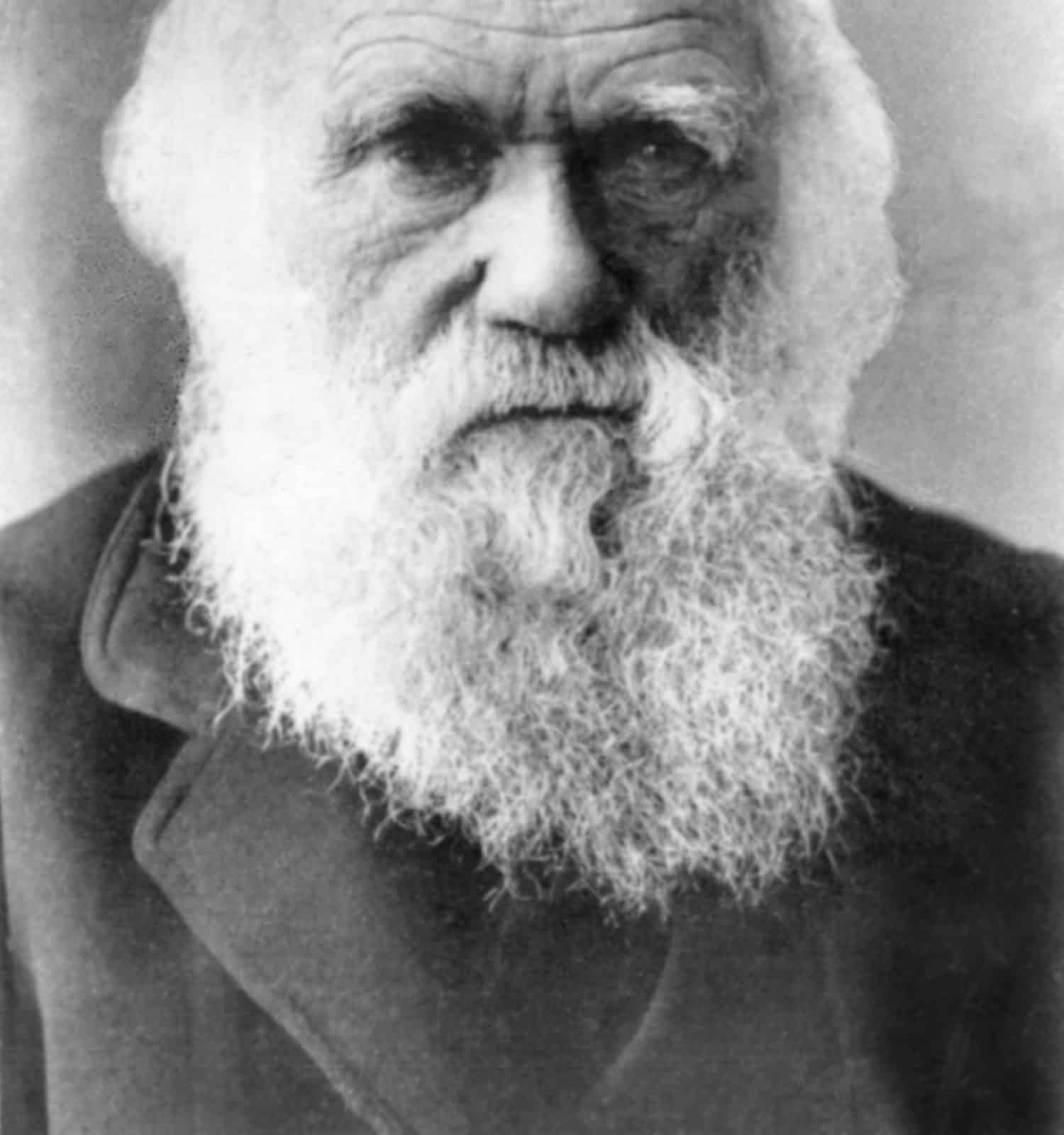 Charles Darwin (1809-1882), 1870-80 circa.
