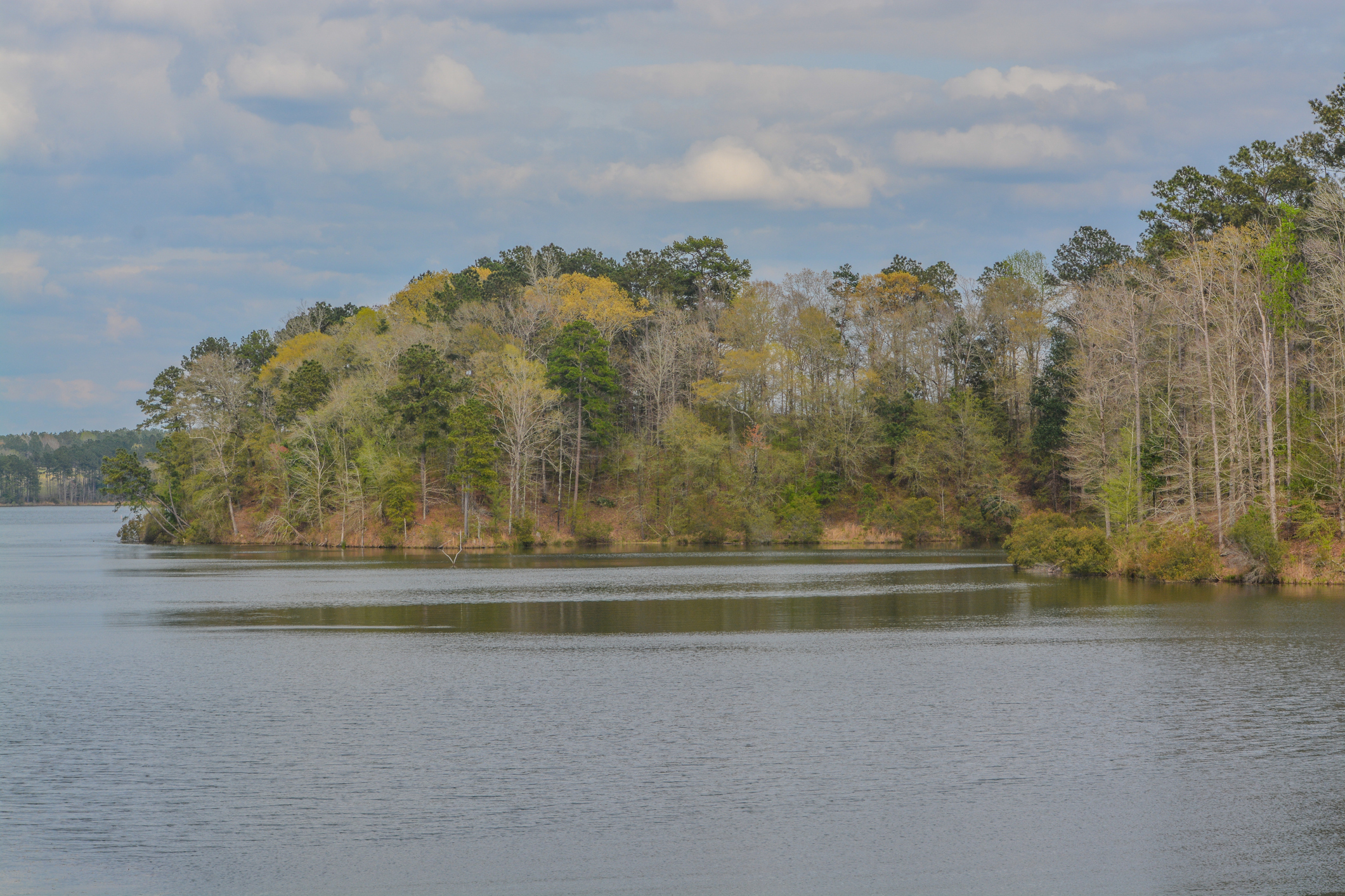 Bellissima vista dell'area ricreativa del lago Okhissa nella foresta nazionale di Homochitto, Bude, contea di Franklin, Mississippi