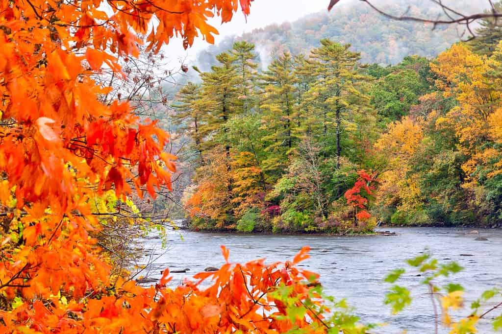 Stagione autunnale nel fiume Housatonic nelle colline di Litchfield nel Connecticut