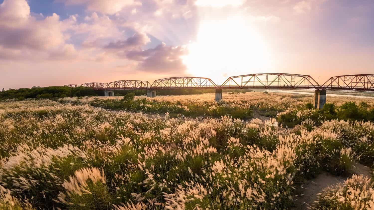 Una vista serena del ponte Xiluo nella città di Yuanlin, Taiwan, ornato di erba dolce sotto la luce del tramonto.