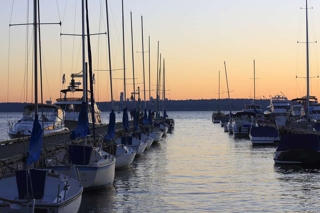 Kirkland, Washington, Lago Washington