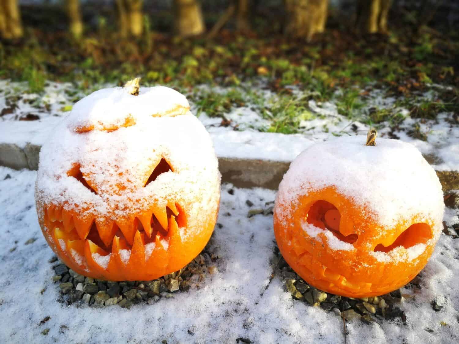 Finale di Halloween.zucche sotto la neve