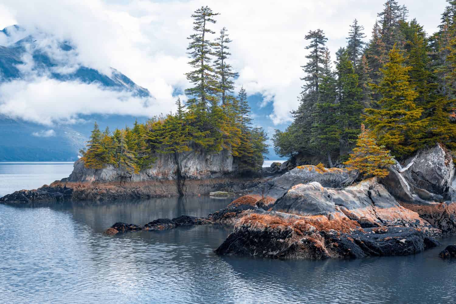 Veduta dell'isola dal tour in crociera del Parco nazionale di Kenai Fjords in Alaska, Stati Uniti.