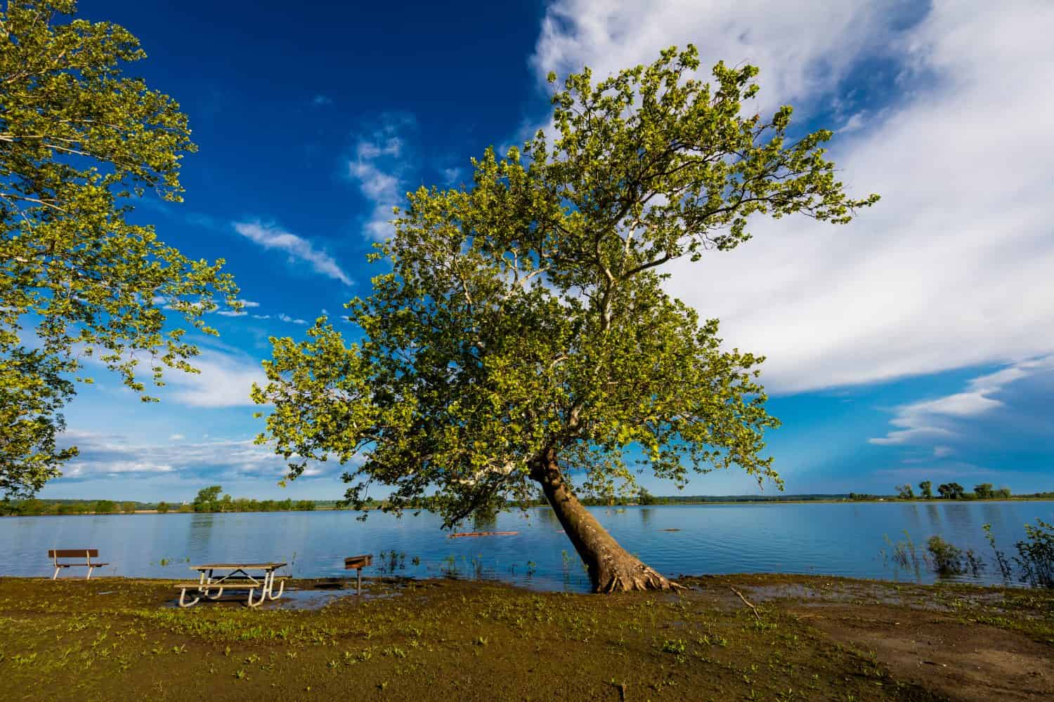 18 MAGGIO 2019, campeggio USA al Weston Bend State Park a Rushville, Platte County, Missouri