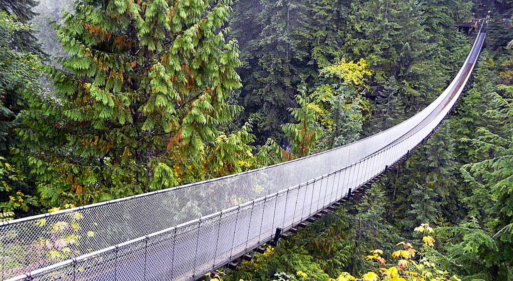 Ponte Capilano, Vancouver, Columbia britannica, Canada