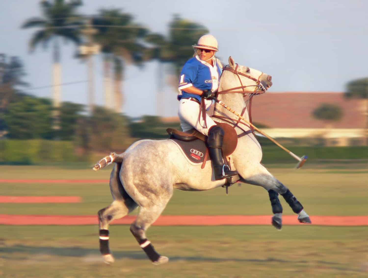 Melissa Ganzi, giocatrice di polo campionessa femminile del team Audi, in azione a Wellington, Florida.  L'immagine presenta motion blur mentre ferma il cavallo per girarsi.  Il cavallo si sta impennando leggermente.  La maglia della squadra è blu