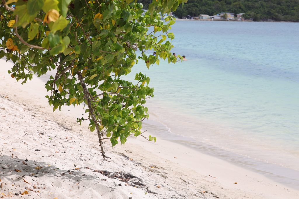 Spiaggia di Buyé