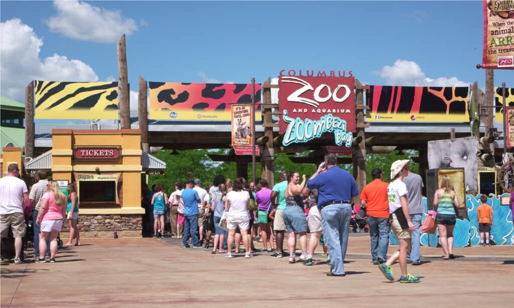 Acquari vicino a Cleveland: zoo e acquario di Columbus