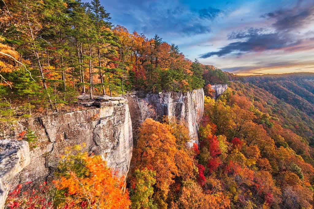 New River Gorge, West Virginia, USA paesaggio autunnale mattutino all'Endless Wall.