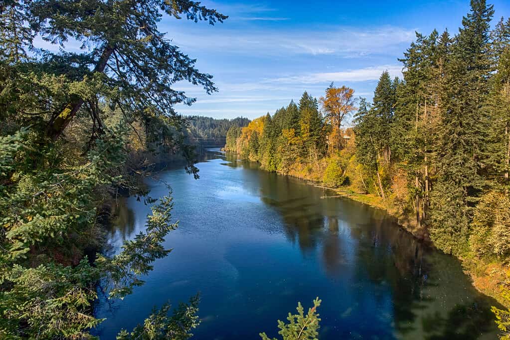 Il fiume Clackamas