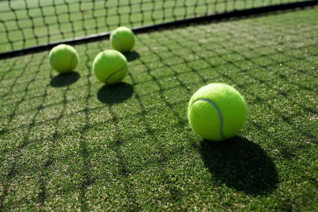 quattro palline da tennis luminose sono visibili su un campo in erba verde.  La rete è visibile verso il retro della cornice.  Il sole splende attraverso il nido proiettando un'ombra netta sull'erba verde e sulle palline gialle.