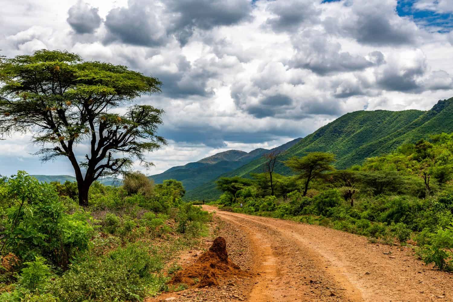 Area rurale remota vicino alla scarpata di Siracho, contea di Baringo, Kenya, che si affaccia sulla Great Rift Valley.  La strada sterrata è rocciosa e fuori dai sentieri battuti.  Si avvicina la tempesta.  Scenario paesaggistico naturale.