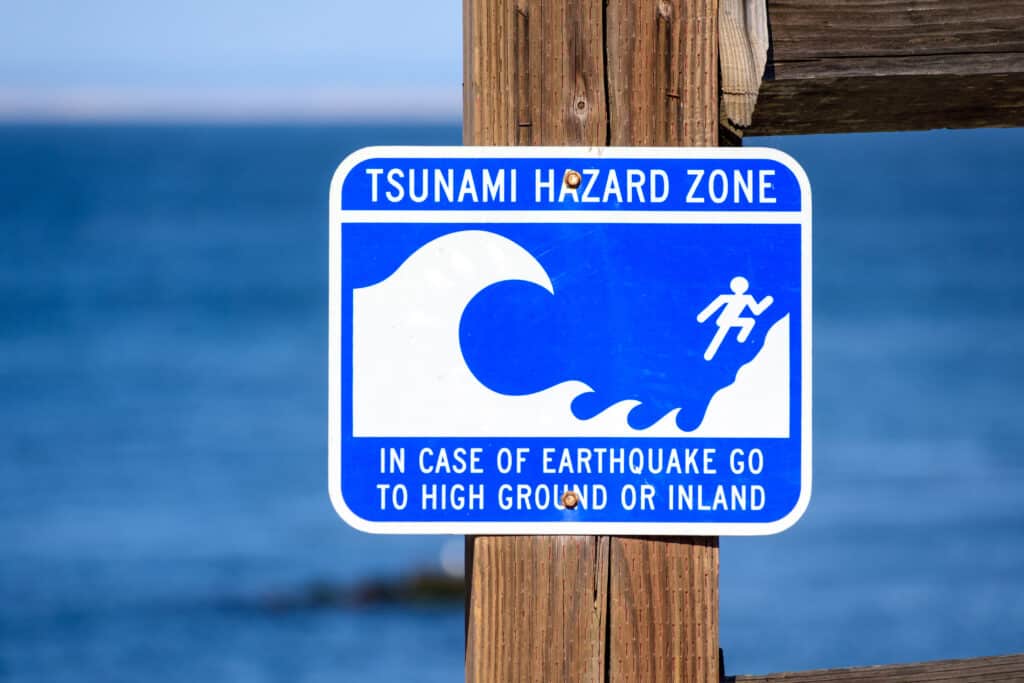 Un cartello blu e bianco della zona di pericolo tsunami