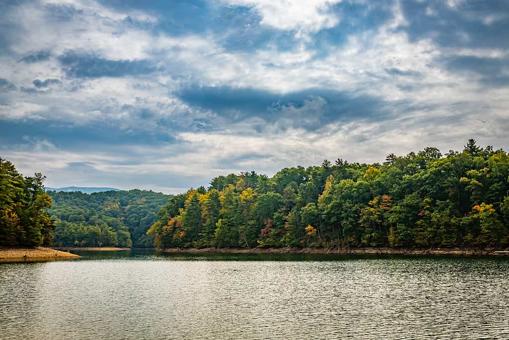 South Holston Lago Bristol Tennessee